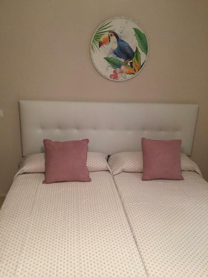 Apartament Javicenter